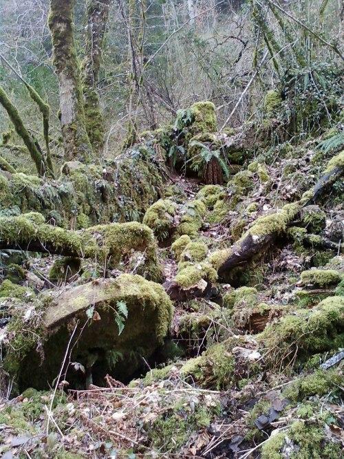 Gite De Charme Auvergne Cab'Ane Brousse Kültér fotó